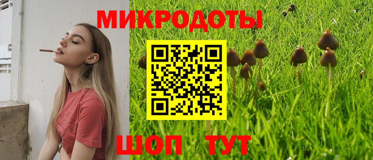 Codein Фрязино