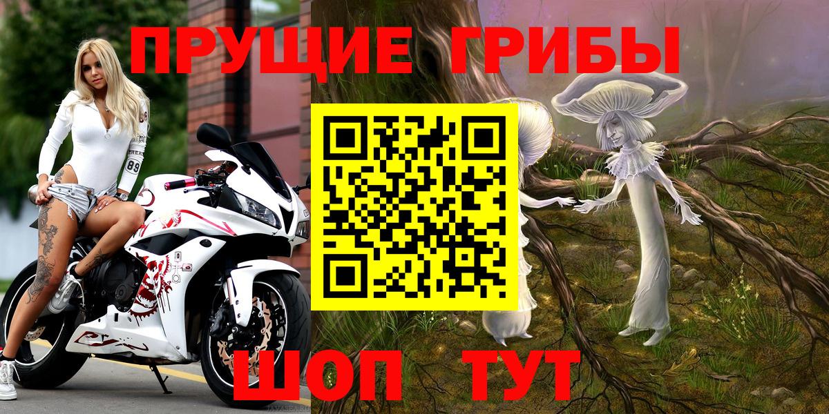 Псилоцибиновые грибы мухоморы Фрязино